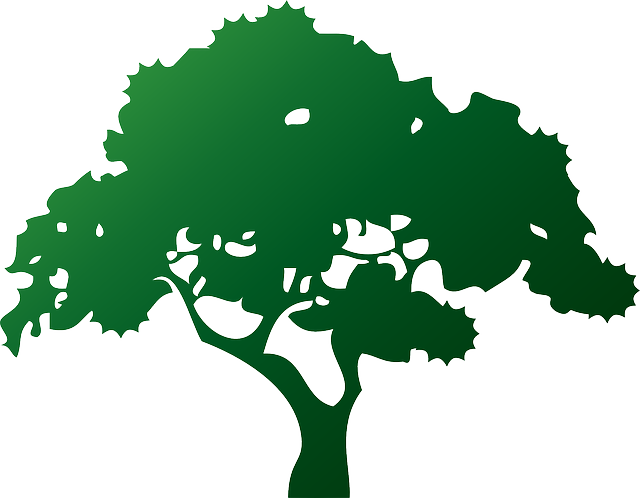 De - Vector De Arbol Png (640x498)