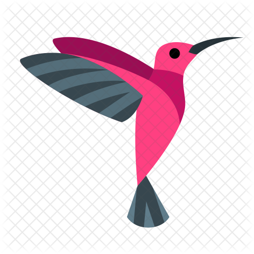 Hummingbird Icon - Bird Icon (512x512)