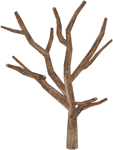 Dead Tree 2 - Driftwood (518x518)