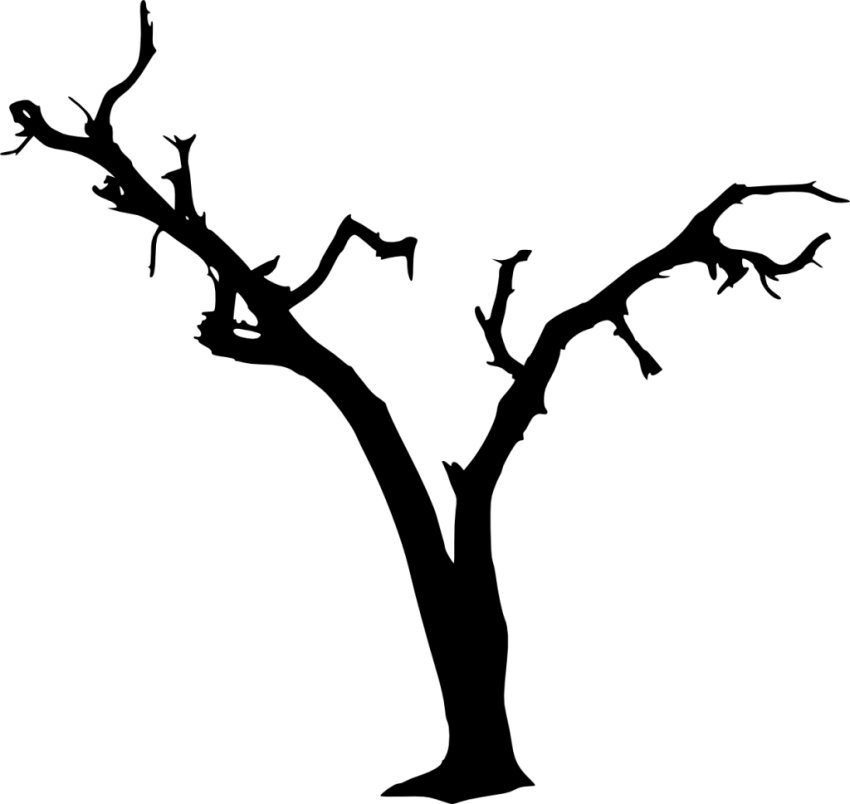 Free Png Dead Tree Silhouette Png Images Transparent - Dead Tree Branch Png (850x804)