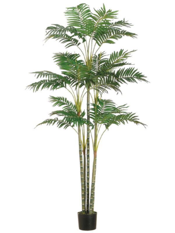 6' Areca Palm Tree X26 In Plastic Pot Green - Silk Plants Direct Areca Palm Tree - Green - Pack Of (800x800)