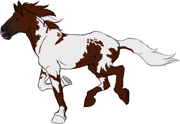 Horse Graphics And Animated Gifs - Horse Gifs Animated (603x415)