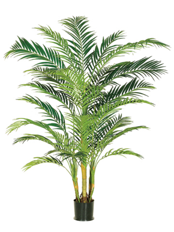 7' Areca Palm Tree X4 In Pot Green - Silk Plants Direct Areca Palm Tree - Green - Pack Of (800x800)