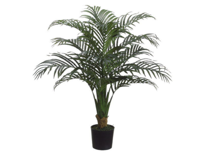 40" Palm Tree In Plastic Pot Green - Silk Plants Direct Tropical Palm Tree - Green - Pack (800x800)