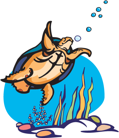 Pbs Has A Full List Of Nature Programs Focused On Endangered - Turtles Rock! Note Cards (641x480)