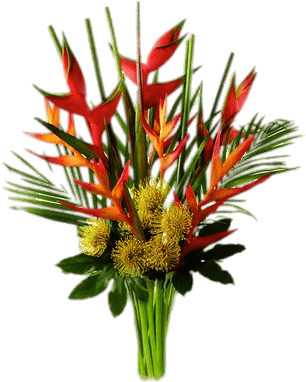Heliconia Composition - Ftd Striking Luxury Tropical Bouquet (400x400)