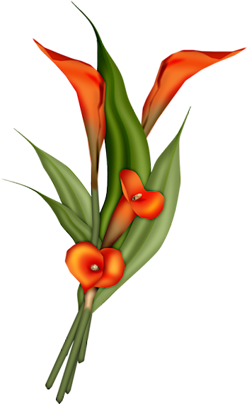 Partager - - Happy Birthday Graphics (390x600)