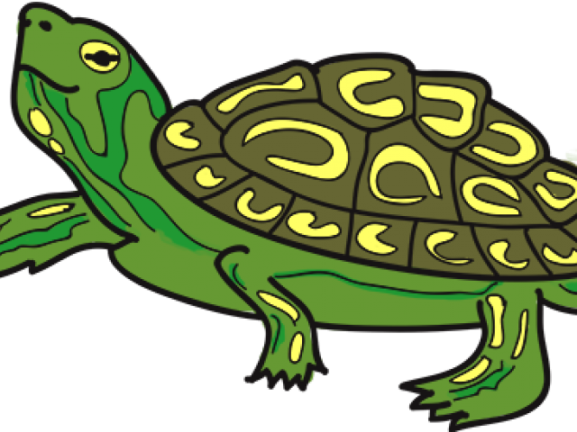 Tortoise Clipart Terrapin - Tortoise Clipart Terrapin (640x480)