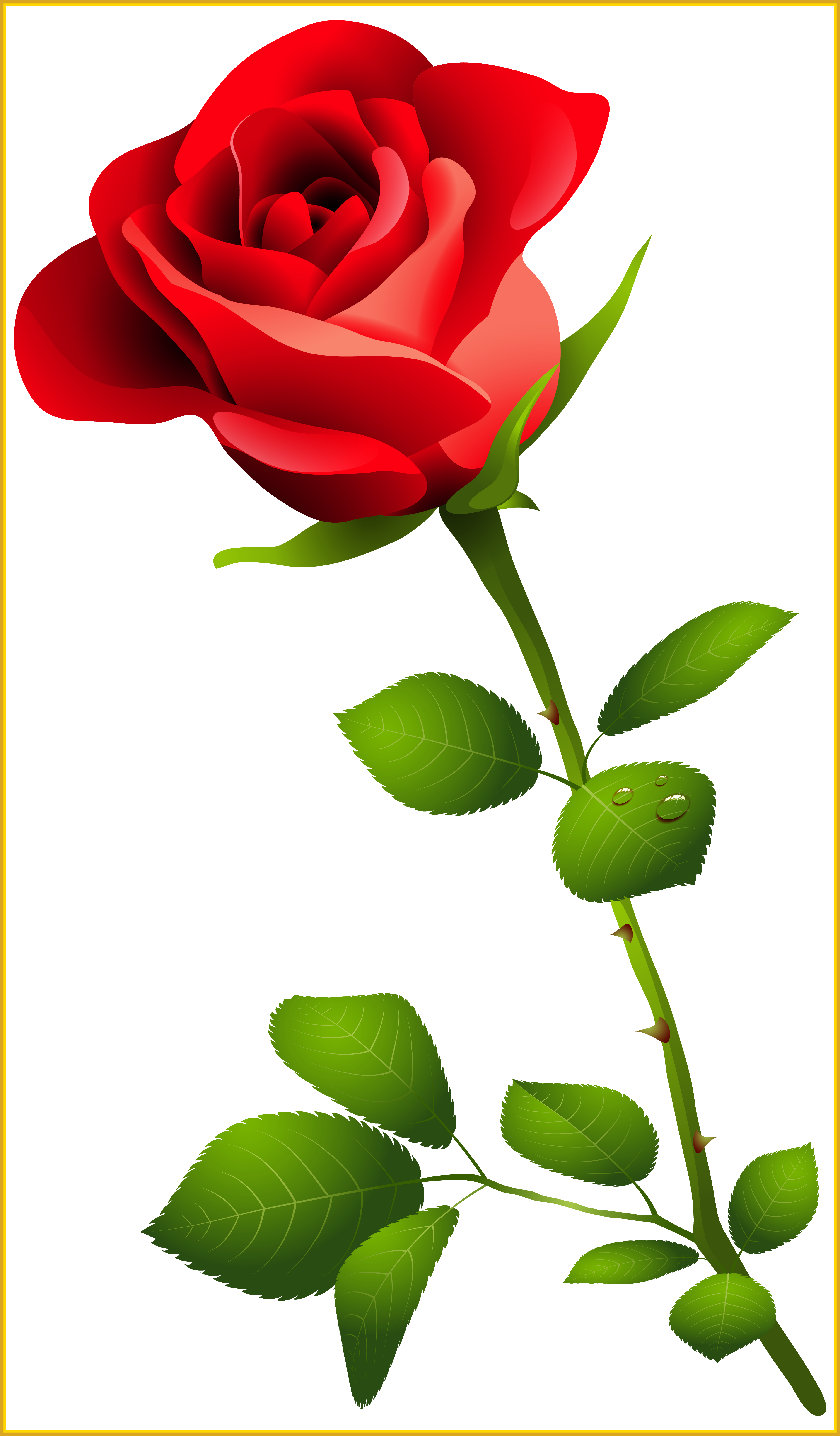 Awesome Red Rose With Stem Png Clipart Image Transparent - Awesome Red Rose With Stem Png Clipart Image Transparent (3708x6336)