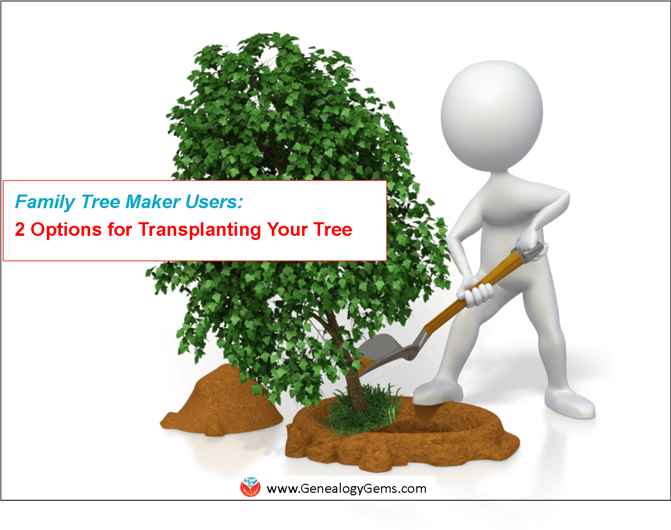 Ftmaker Options Transplant Tree Family Tree Maker Alternatives - Shape (1332x1125)