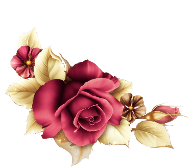 Flowers With Transparent Background Png (800x800)