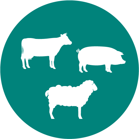 Disease Threats Across Regions - Mail Icon (500x492)