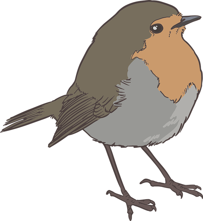 Sparrow Png 17, Buy Clip Art - Bird (661x720)