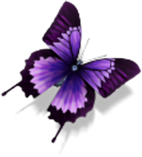 Purple Butterfly - Purple Butterfly Png (550x615)