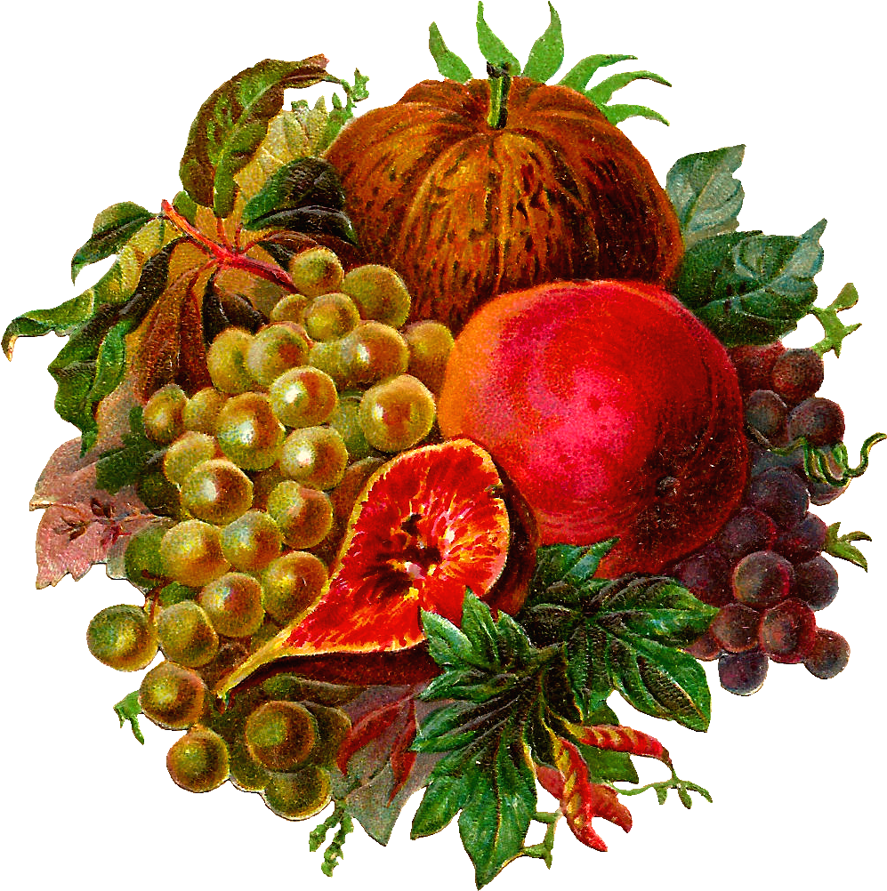 Beautiful Vintage Fruit Art Small Crafts Pinterest - Blogger (1180x1170)