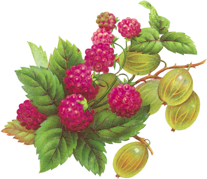 Láminas Vintage,antiguas,retro Y Por El Estilo - Винтажные Картинки (699x640)