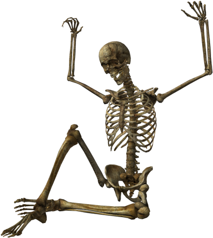 Human Skeleton - Halloween Png Hd (500x500)