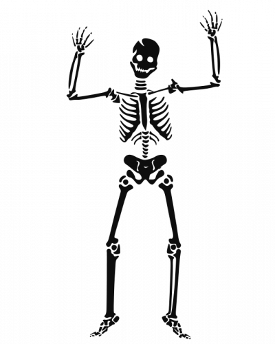 Scary Human Skeleton Vector Image - Human Skeleton Clip Art (400x500)