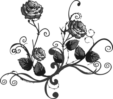 Rose Black White Floral Elegant Elegance D - Black And White Flower Png (390x340)
