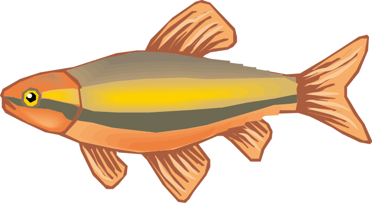 Fish Drawing Cartoon - Animadas De Alimentos De Origen Animal (735x401)