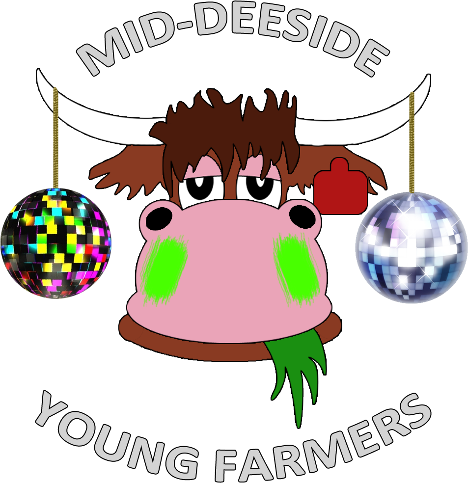 Mid Deeside Young Farmer Halloween Disco - Cool 80s Disco Ball Keychain, Adult Unisex, Size: 2.25", (970x990)
