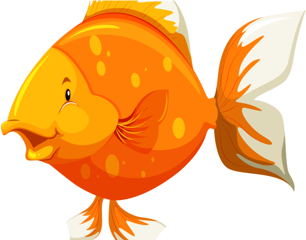 Gold Fish Clipart Under Sea - Parts Of The Fish (640x480)