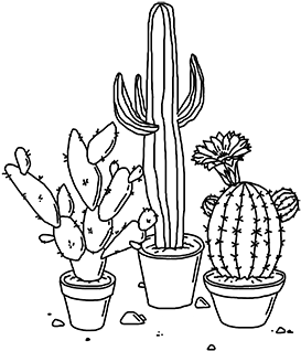 Cacti Drawings - Transparent Drawings (499x363)