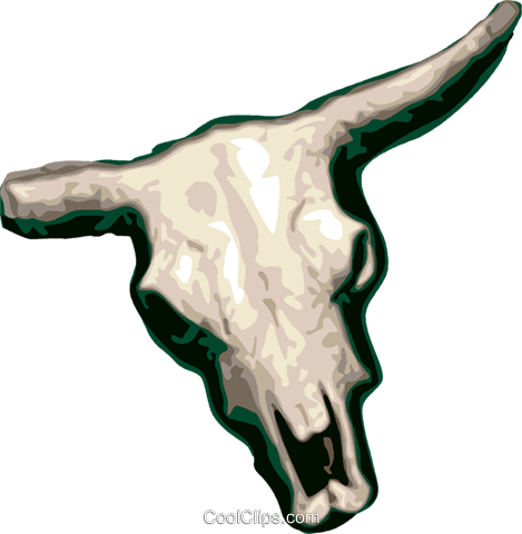Cow Skull Royalty Free Vector Clip Art Illustration - Cow Skull (469x480)