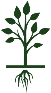 Growing Tree Clipart - Crecimiento De Un Arbol (316x399)