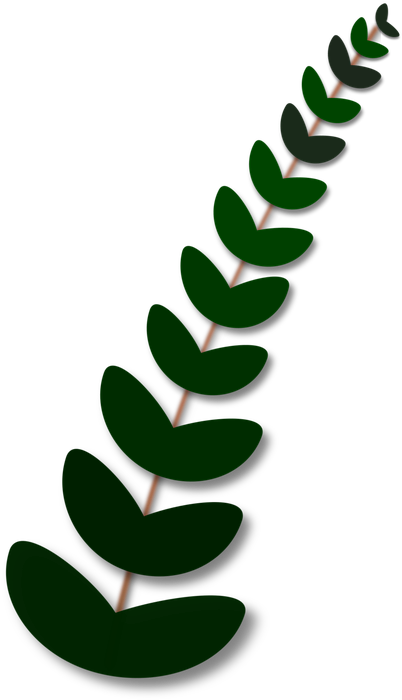 Olive Tree Clipart 20, Buy Clip Art - Rama De La Paz (452x720)