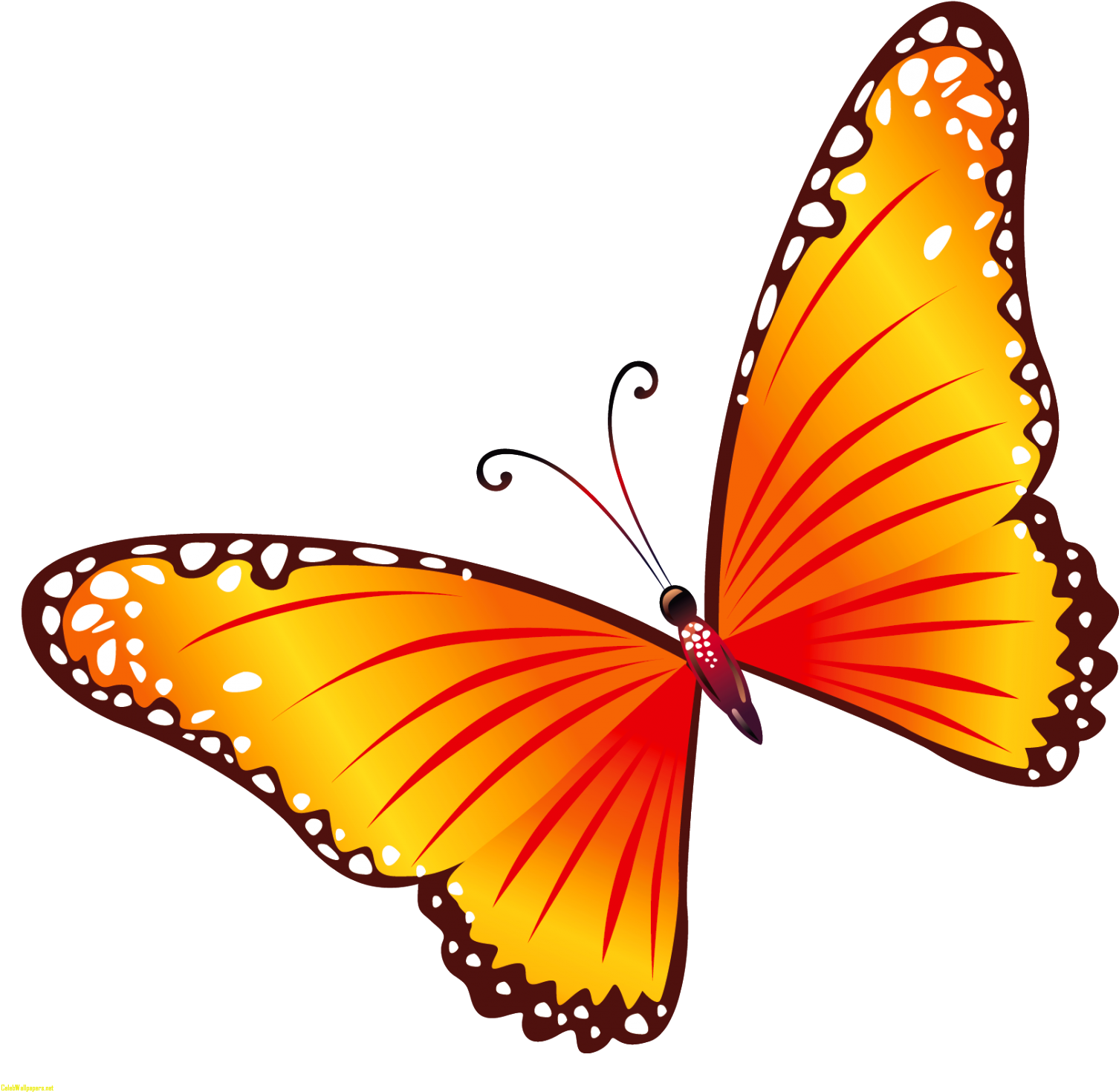 Butterfly Butterfly Clipart Free Clipart Images Clipartcow - Clip Art Butterflie Transparent Background (1600x1571)