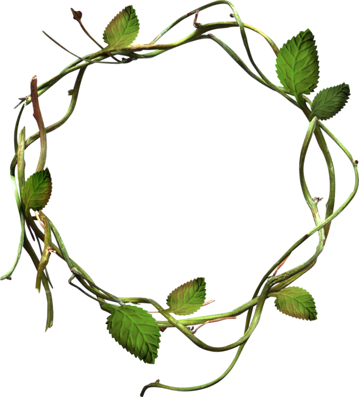 Green Leaves Grass Circle - Vines In A Circle (724x800)