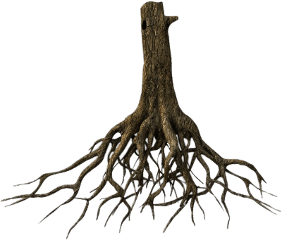 Tree With Roots Png (400x400)