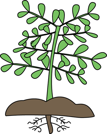 Free Plant Roots Clipart - Clip Art (359x450)