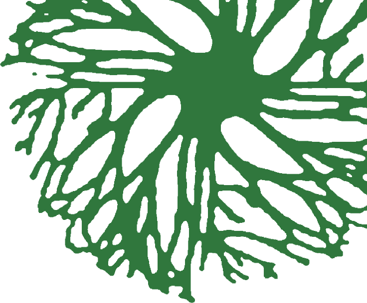 Time For Feeling By Giovanni Ricci - Saxophone Sheet (736x609)