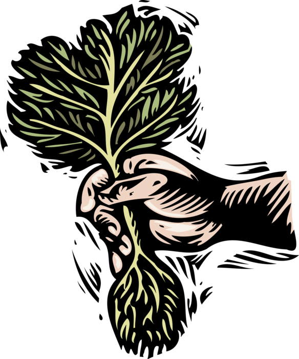Vector Illustration Of Hand Planting Small Tree With - Vector Illustration Of Hand Planting Small Tree With (584x700)