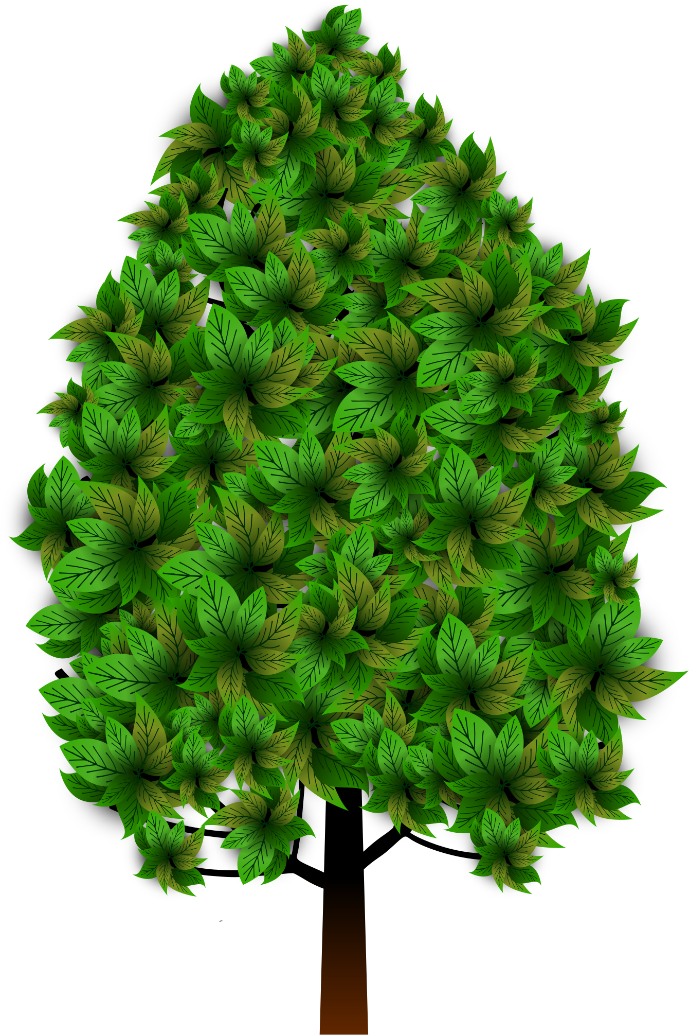 Map Overviewback To Beginning Hide Map - Curled Endive (1697x2400)