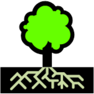 Russian Roots Ii - 4th Grade Photosynthesis Process (400x400)