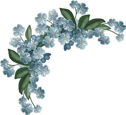 Forget Me Not Png (437x400)