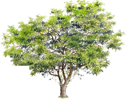 Tree Trimming - Stock Illustration (435x319)