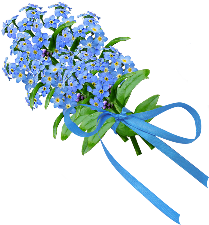 Forget Me Not In Bouquets - Alpine Forget-me-not (750x778)