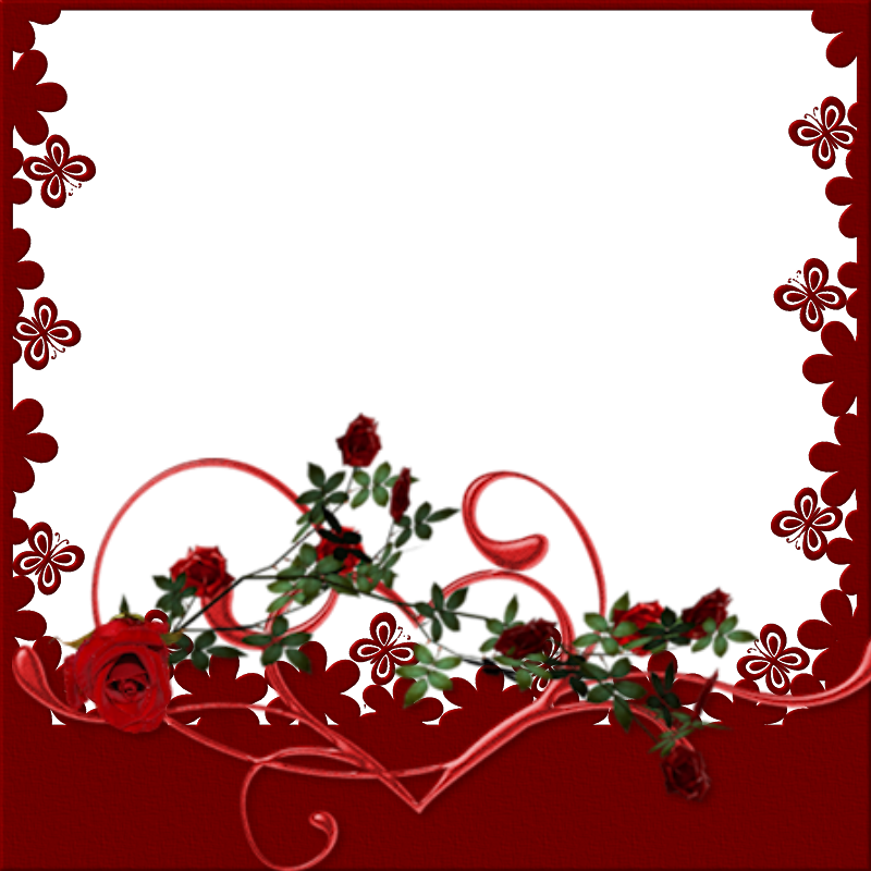 Valentine's Day Frames - Garden Roses (800x800)