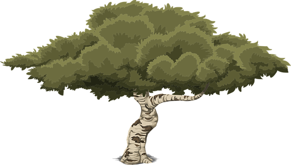 Tree Art Artwork Trunk Cartoon Nature Leav - Arbol Ilustracion Png (598x340)