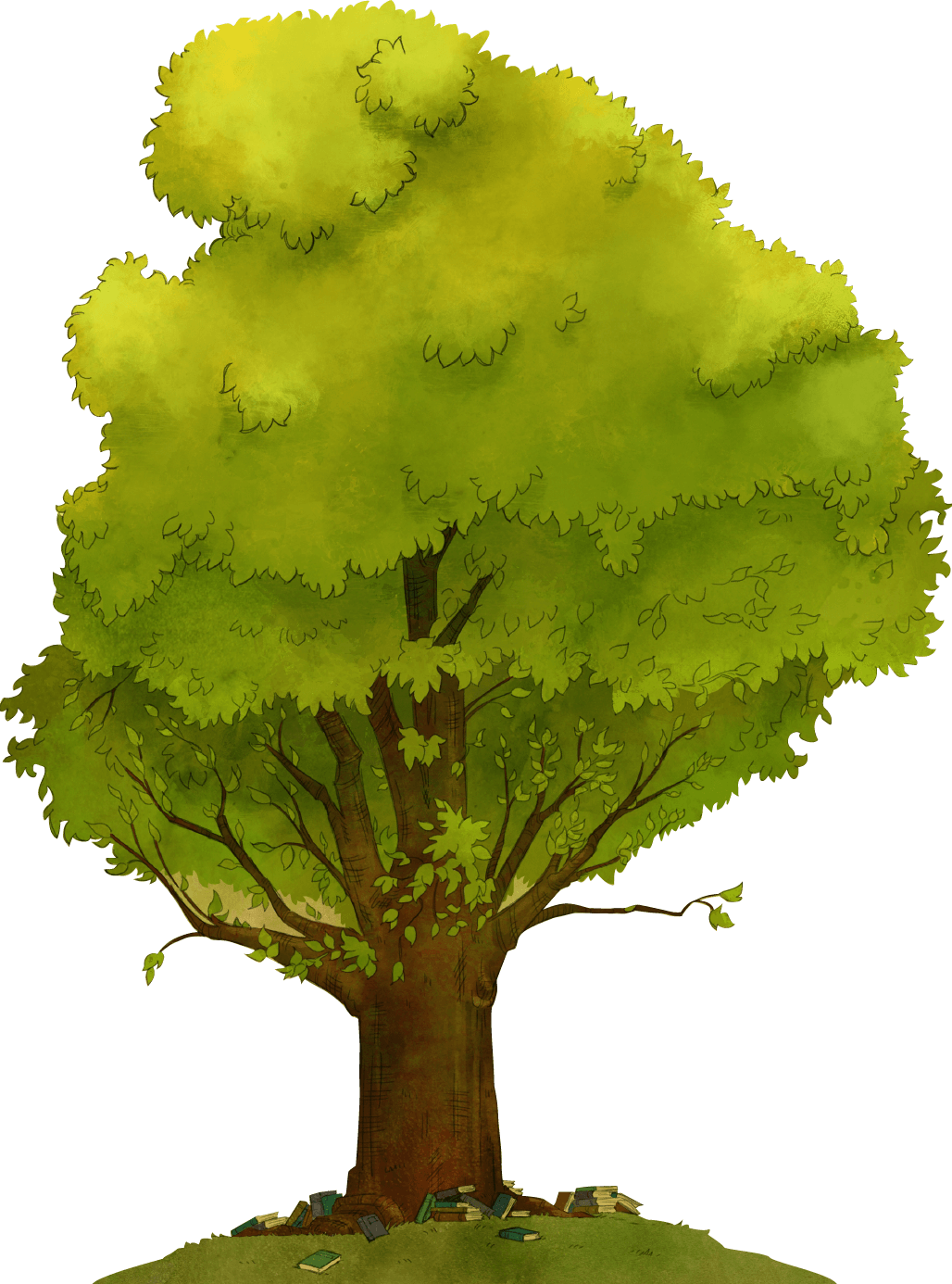 1,812,909 - Swamp Maple (1028x1386)