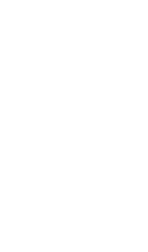 Bridal Veil Png Clip Art - Wedding Veil Png (526x900)