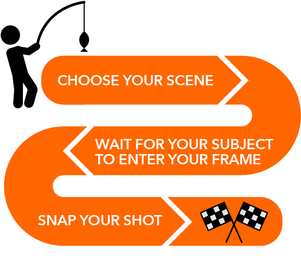 This Activity Is Part Of The Eric Kim Course - Fishing (626x543)