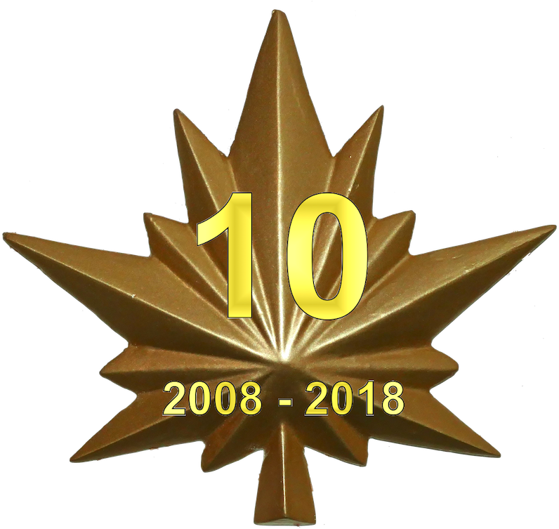 Cap Logo 10th Anniversary 11 Gold Small - Aviation (809x754)