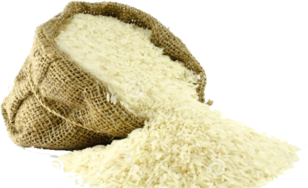 Rice Grain Png - Rice Png (690x450)