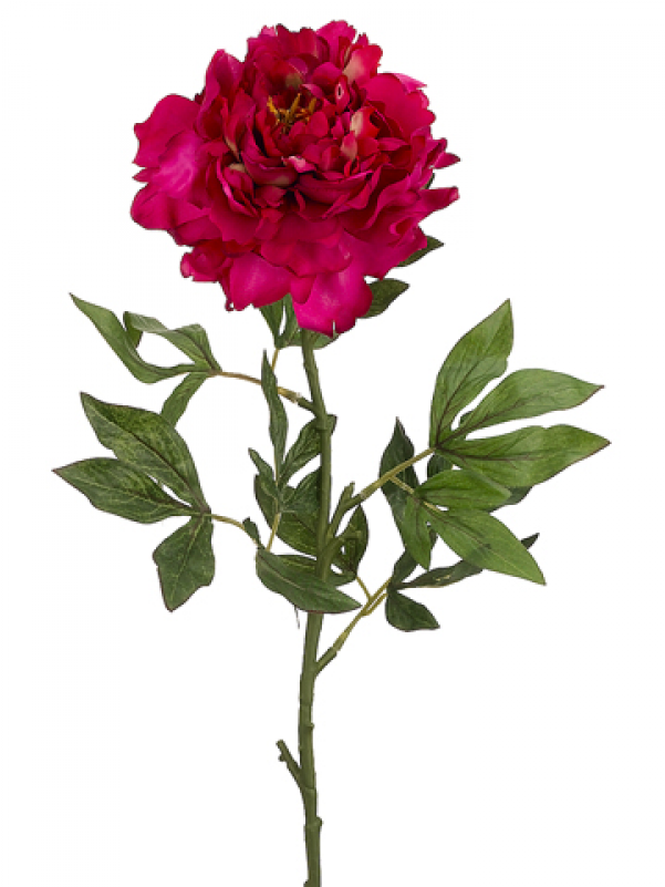 32" Peony Spray X1 Beauty - Silk Plants Direct Peony Spray - Beauty - Pack (800x800)