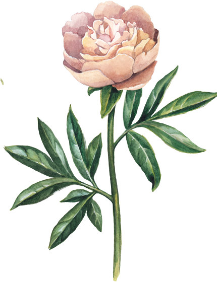 Design - Watercolor Painting (429x600)